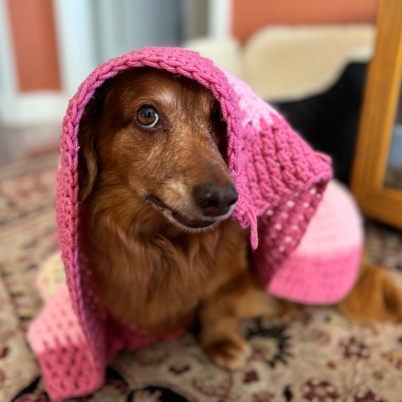 🪩🪩🪩🪩🪩🪩🪩🪩🪩🪩🪩🪩🪩🪩🪩🪩🪩🪩🪩 - Picture 1 of 2